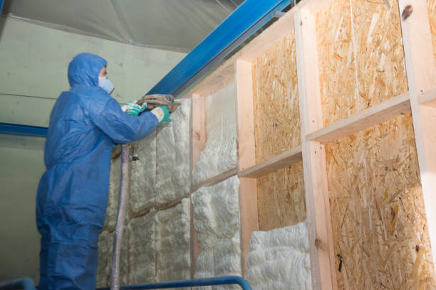 Best Insulation Inspection Services  in Rlsbad, CA