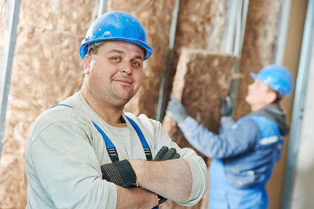 Best Insulation Contractors for Homes  in Rlsbad, CA